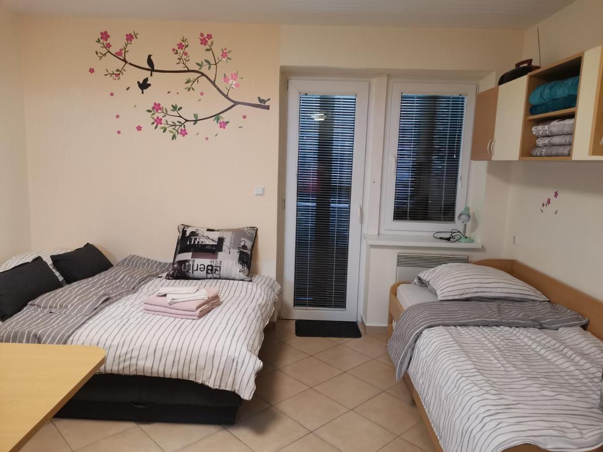 Apartma Gaber 80 Zrece Exterior photo